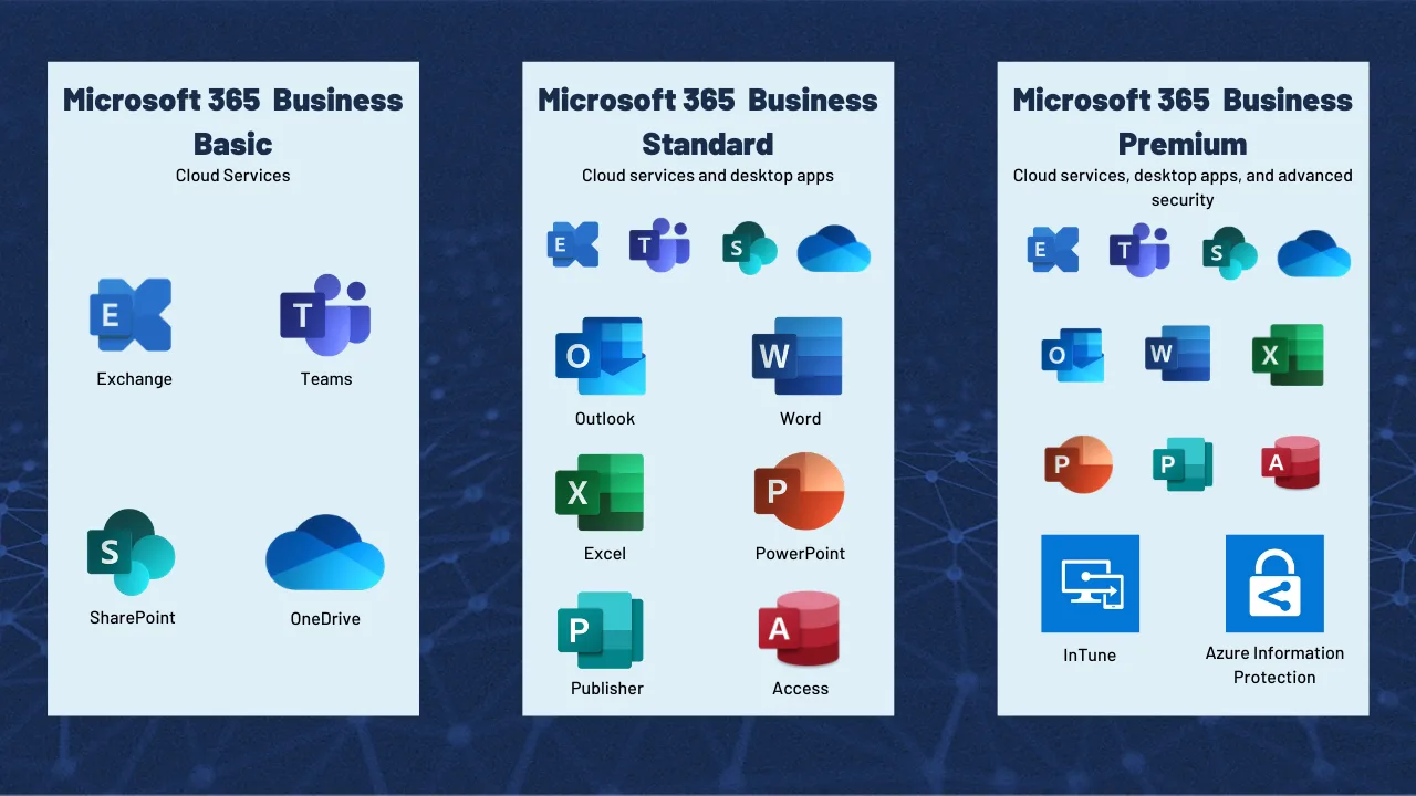 MS 365 Subscriptions infographic